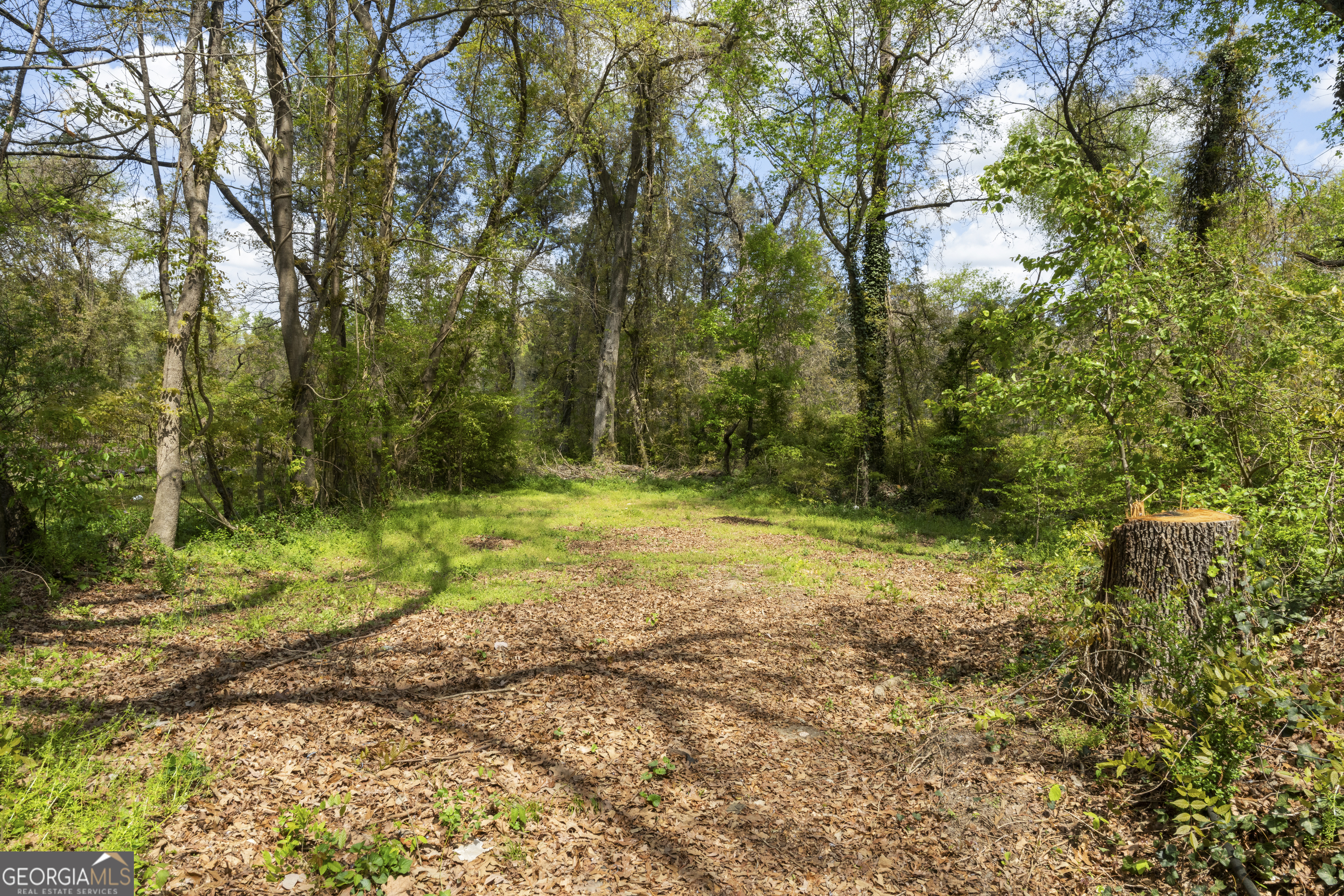 3209 Peachtree Street Lithia Springs GA 30122