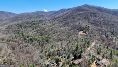4852 Hf Lyons Hiawassee GA 30546