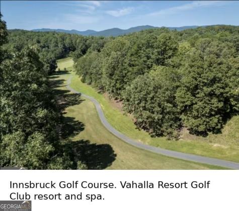 95 Fischer Strasse Helen GA 30545