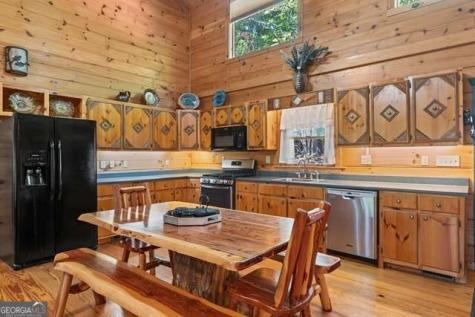 717 Evergreen Lane Mineral Bluff GA 30559