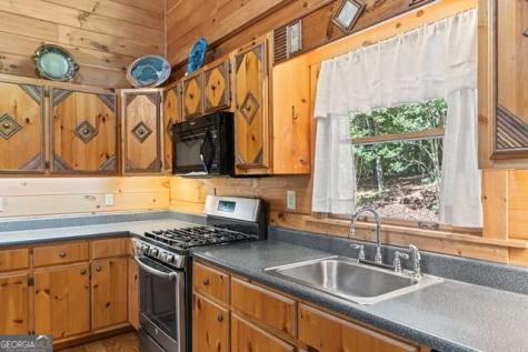 717 Evergreen Lane Mineral Bluff GA 30559