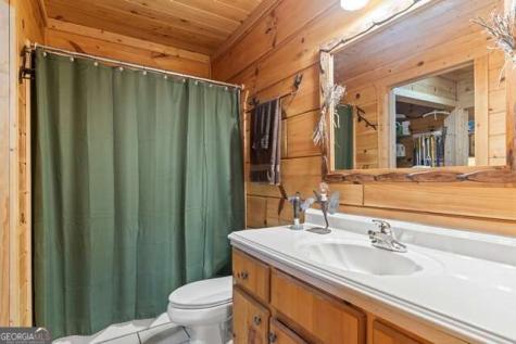 717 Evergreen Lane Mineral Bluff GA 30559