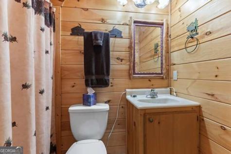 717 Evergreen Lane Mineral Bluff GA 30559