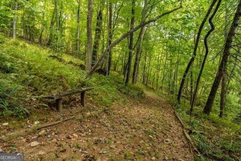 717 Evergreen Lane Mineral Bluff GA 30559