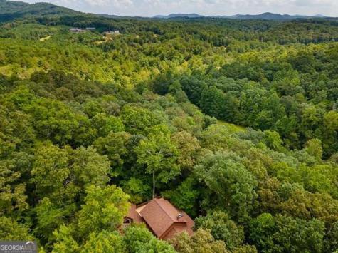 717 Evergreen Lane Mineral Bluff GA 30559