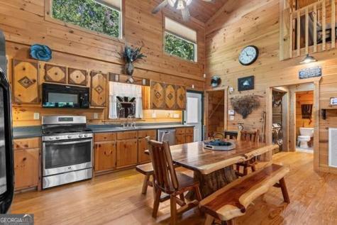 717 Evergreen Lane Mineral Bluff GA 30559