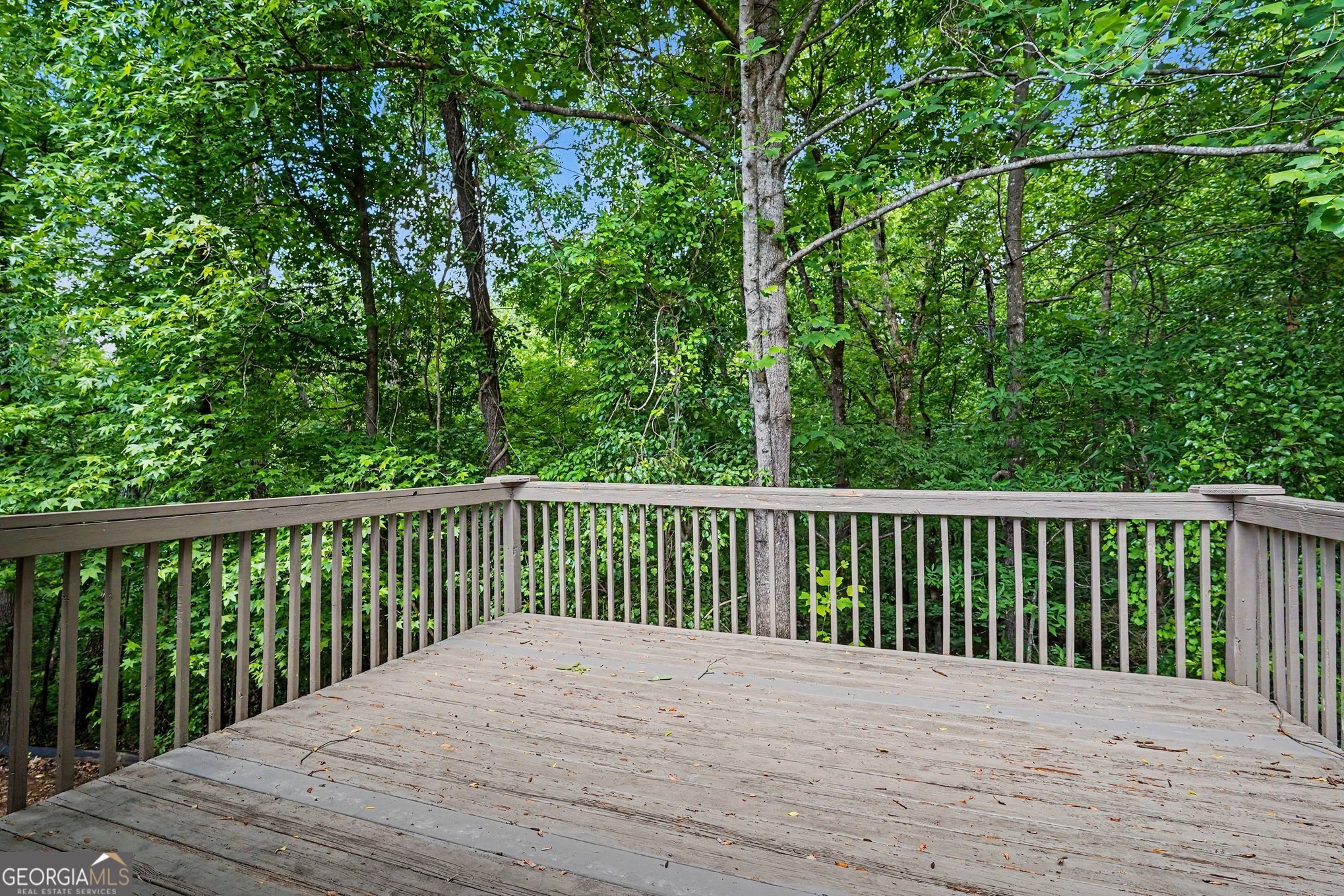 120 Beaverdam Court Covington GA 30016