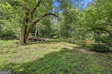 54 Dixon Lane Clayton GA 30525