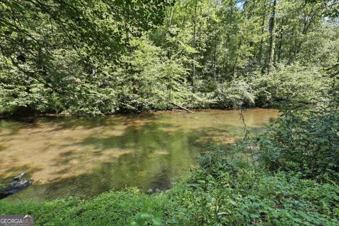 54 Dixon Lane Clayton GA 30525