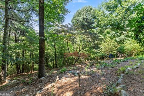 44 Sassafras Ridge Jasper GA 30143