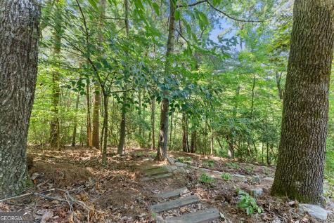 44 Sassafras Ridge Jasper GA 30143