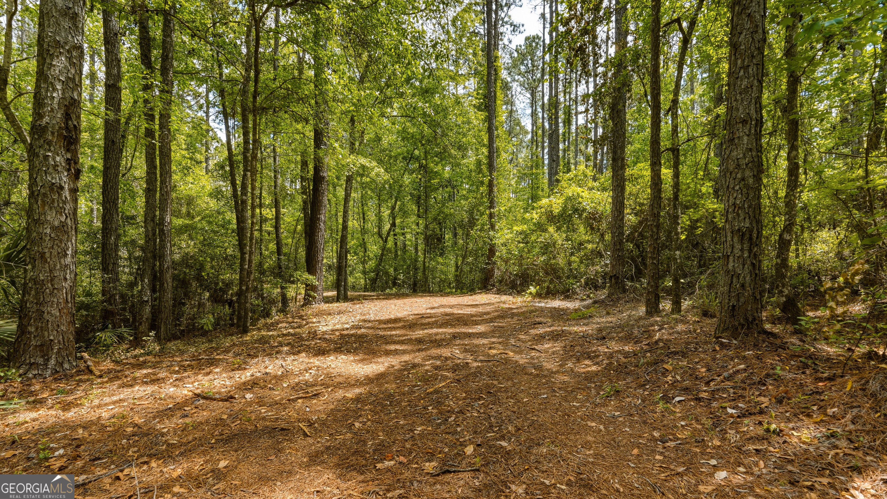 601 Bluff Road N White Oak GA 31568