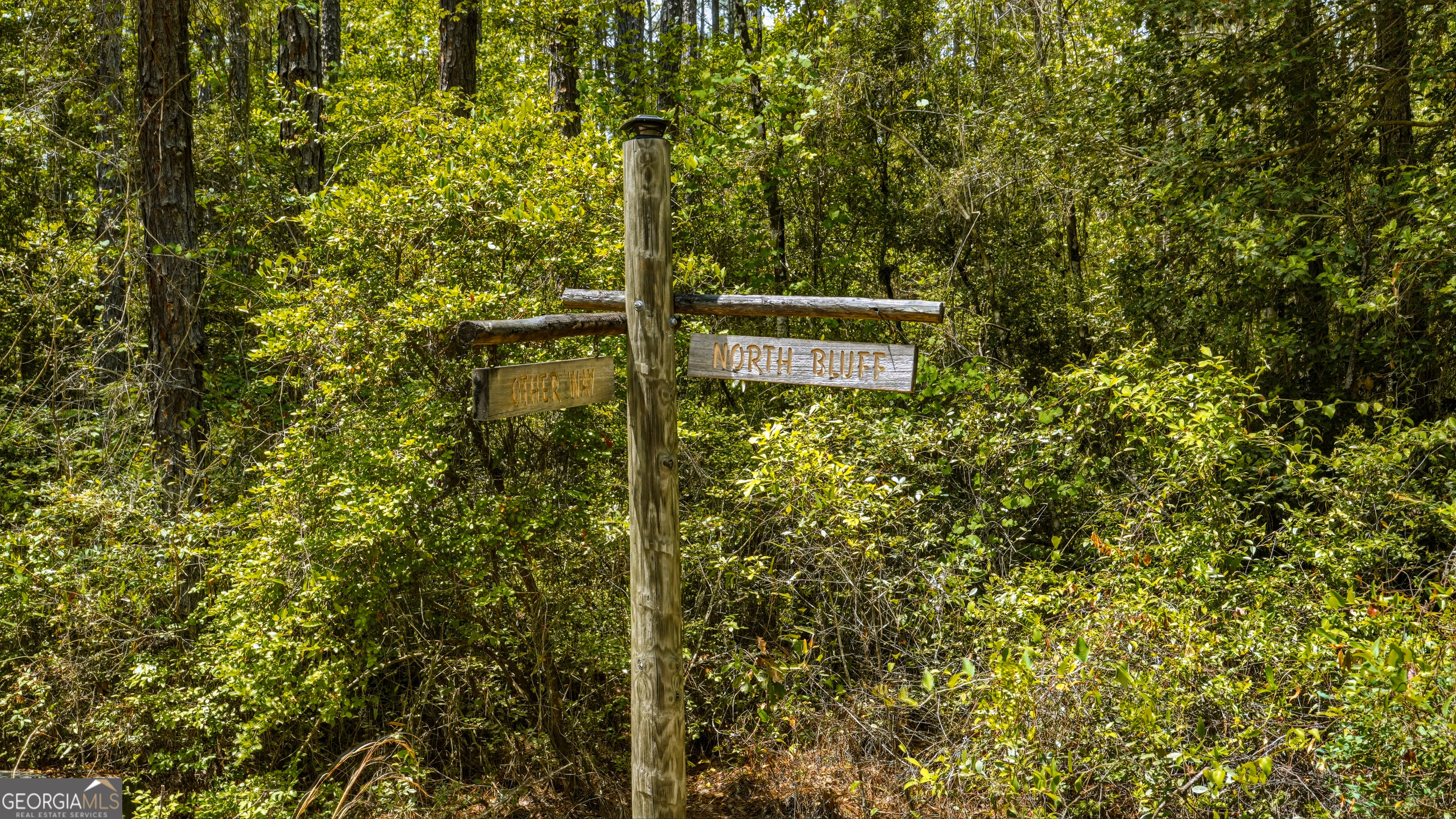 601 Bluff Road N White Oak GA 31568