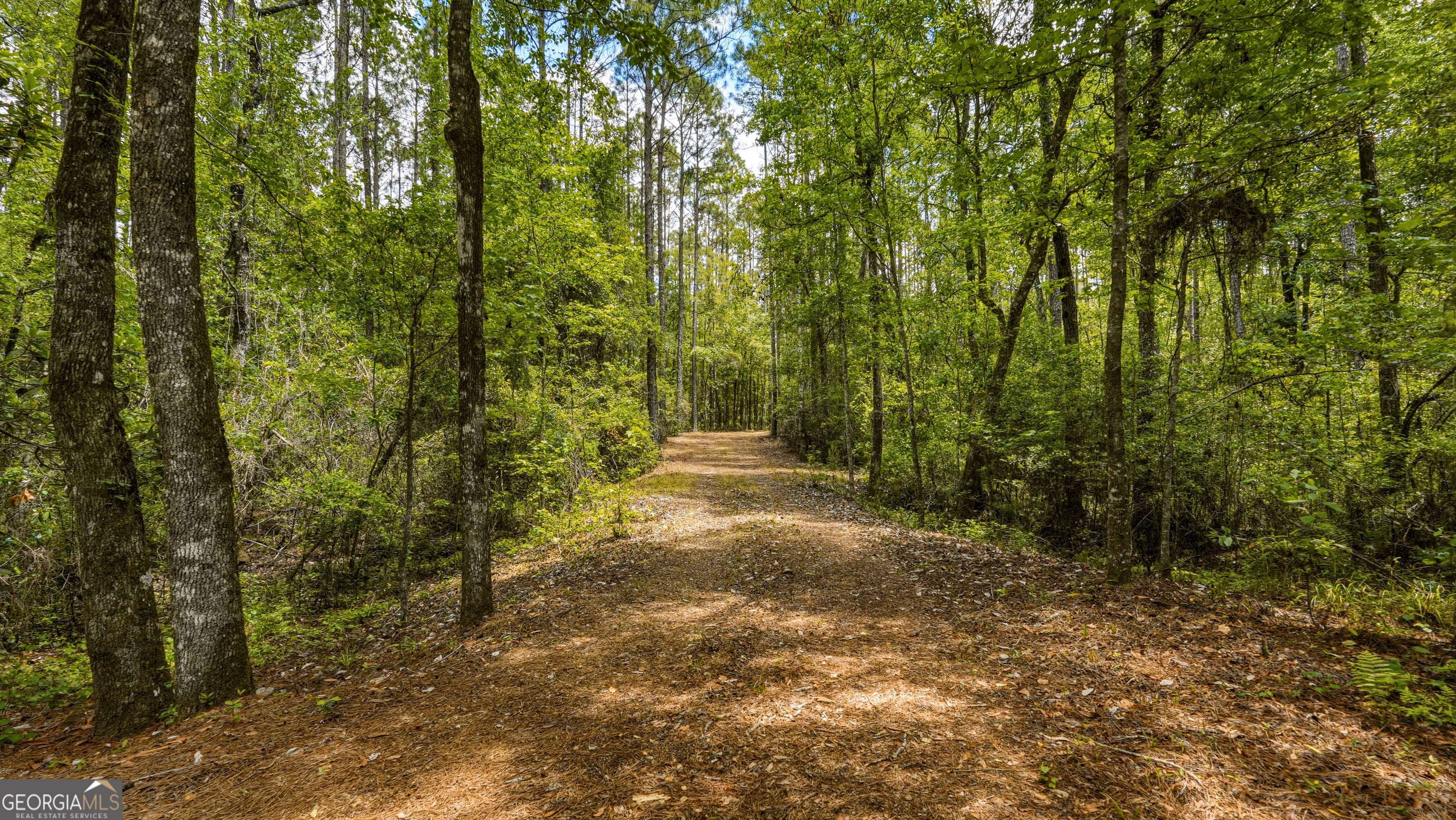 601 Bluff Road N White Oak GA 31568