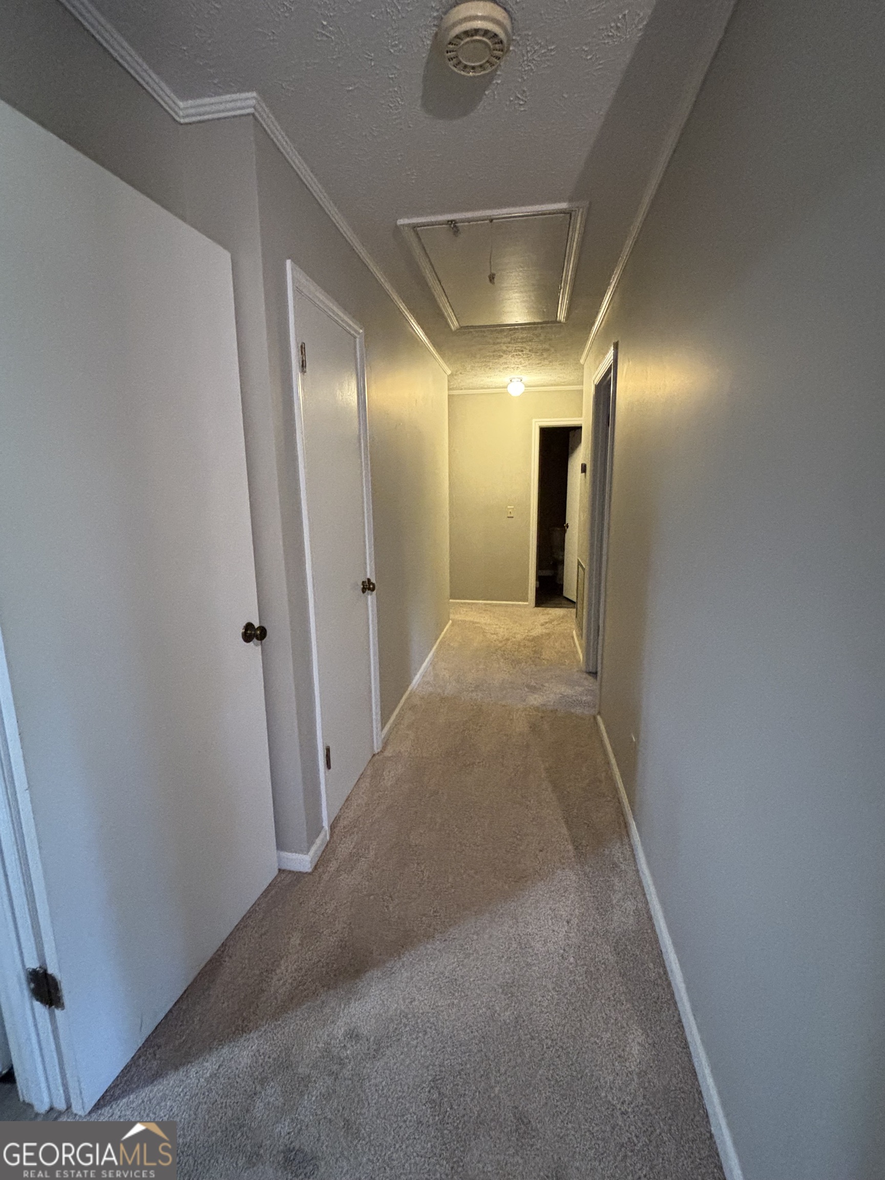 1340 5th Avenue Eastman GA 31023