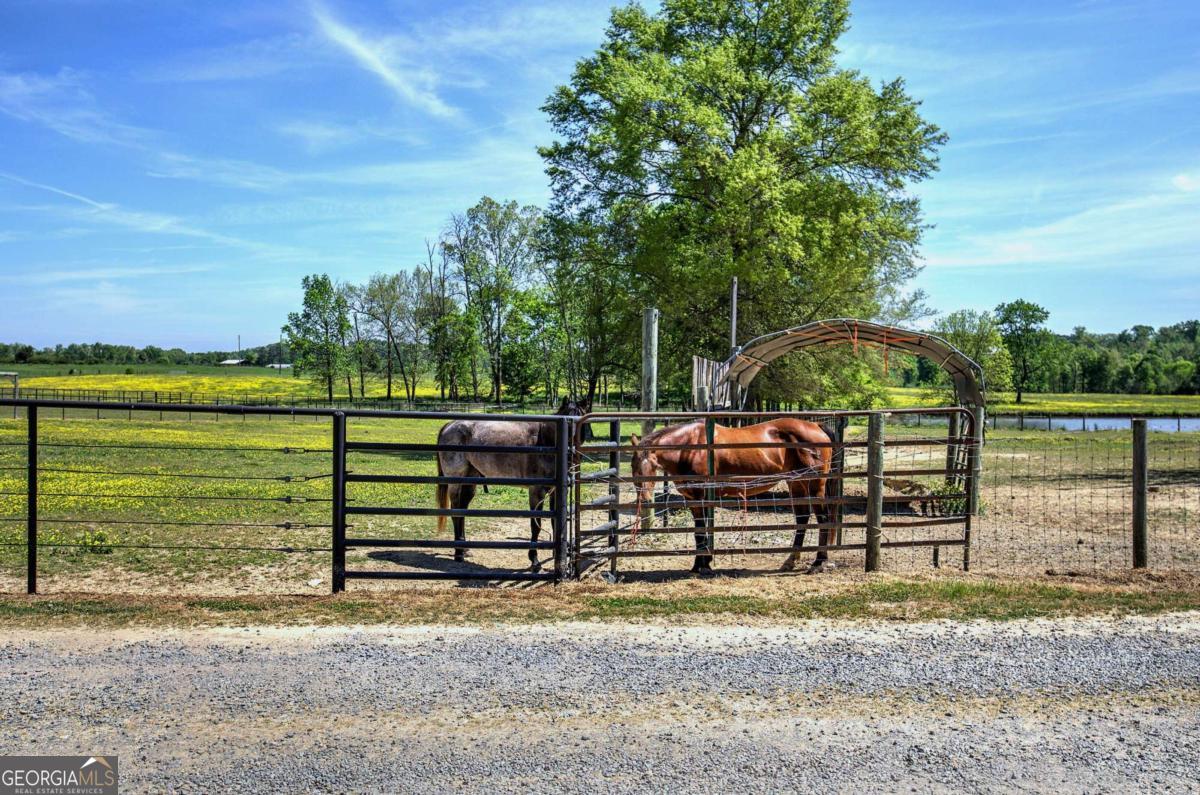 486 County Line Road Resaca GA 30735