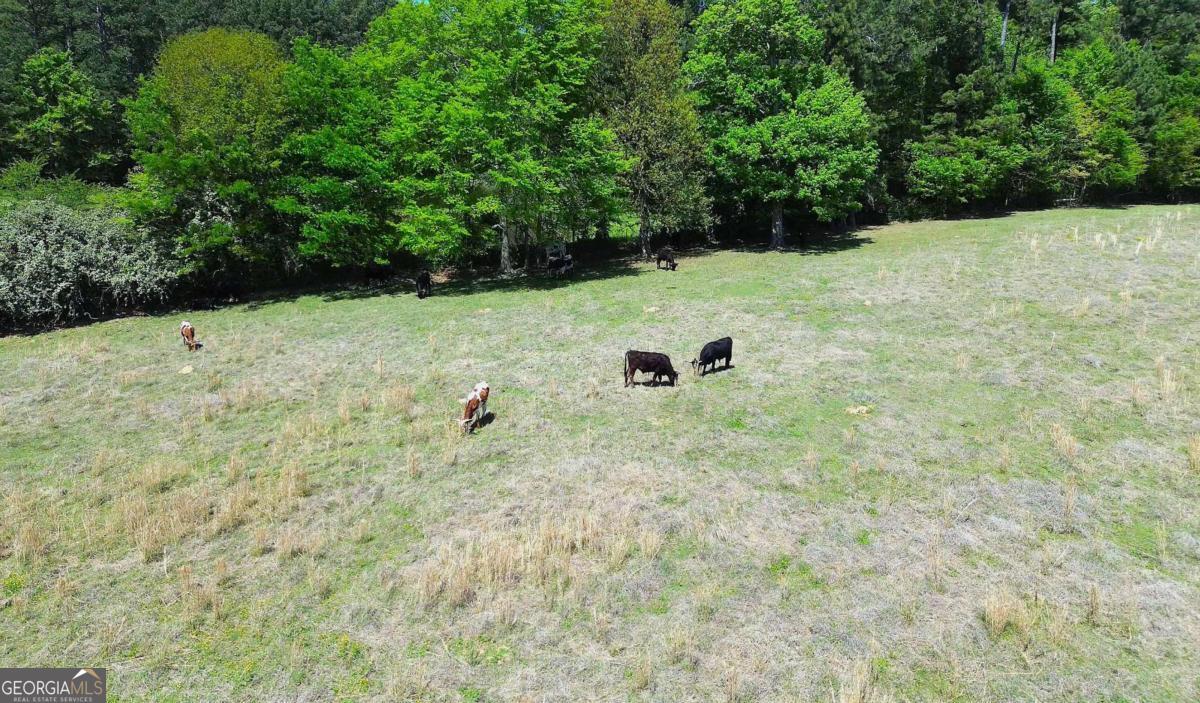 486 County Line Road Resaca GA 30735