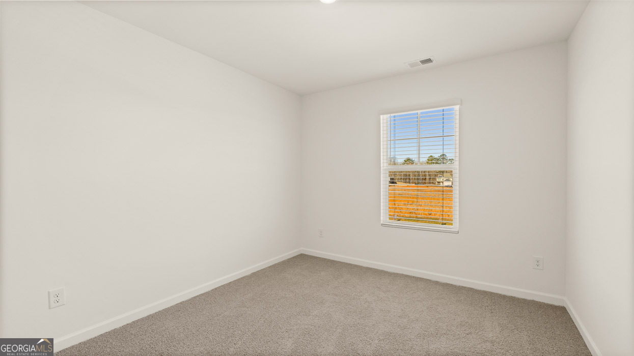 11959 Aukerman Way Hampton GA 30228