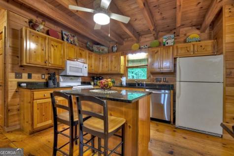 133 Muller Lane Ellijay GA 30540