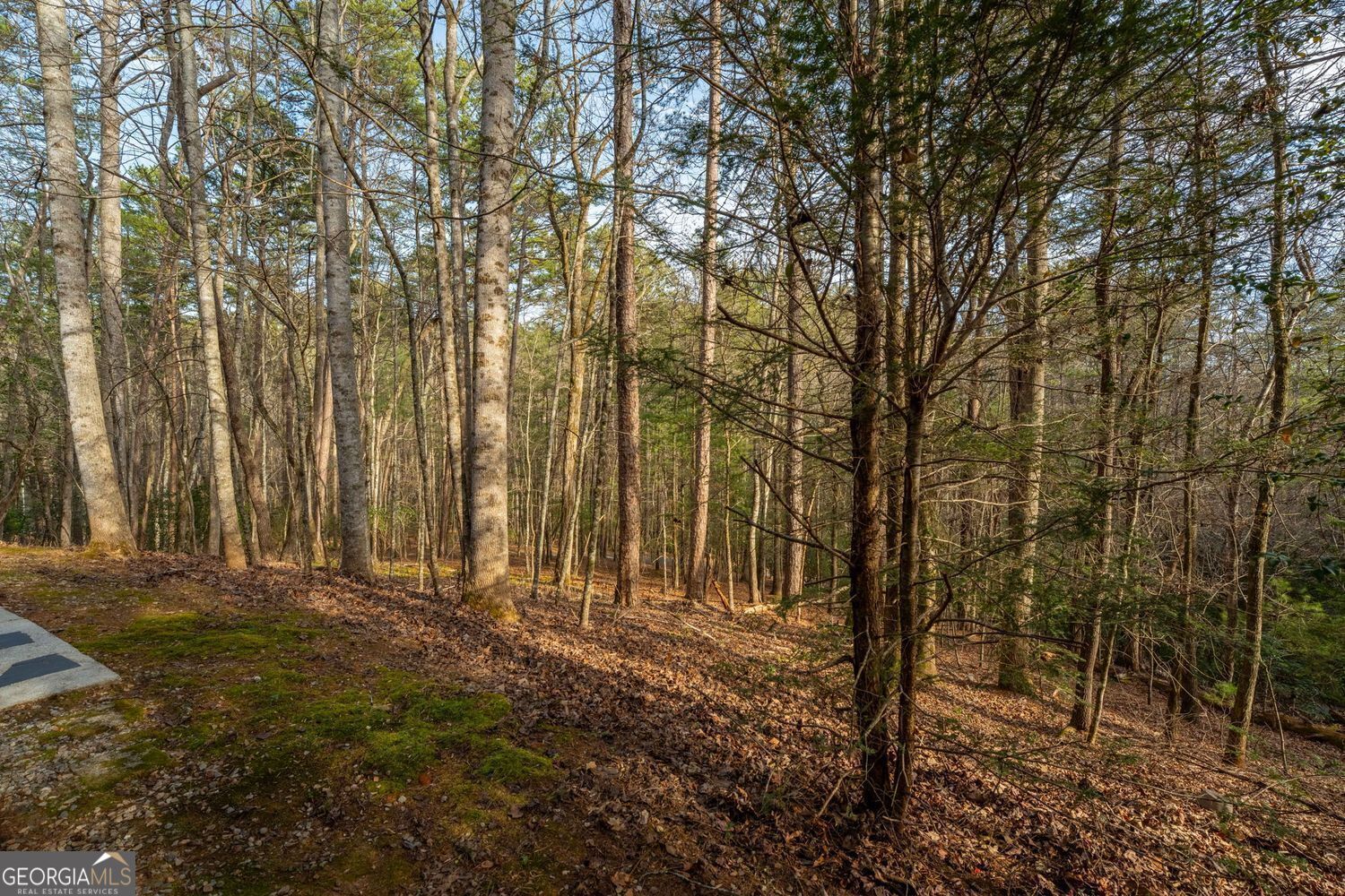 1546 Woodbrier Sautee Nacoochee GA 30571