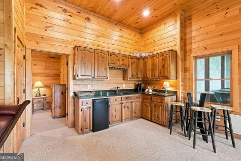 149 Mahoosec Trail Mineral Bluff GA 30559