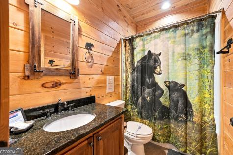 149 Mahoosec Trail Mineral Bluff GA 30559
