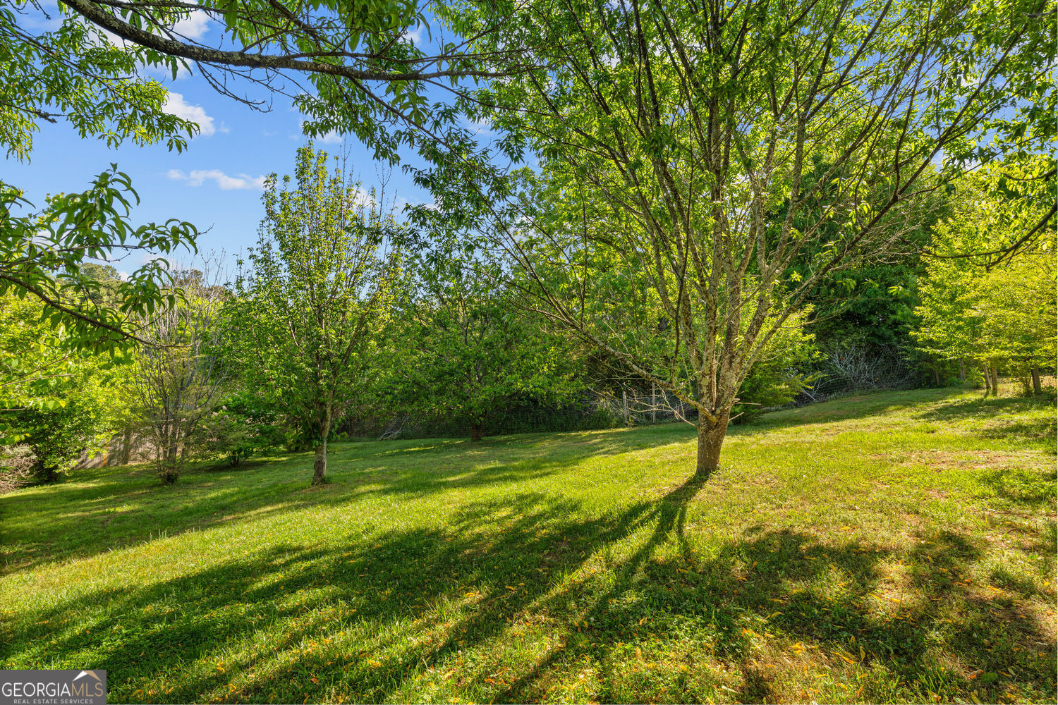 4980 Hyde Court Cumming GA 30040