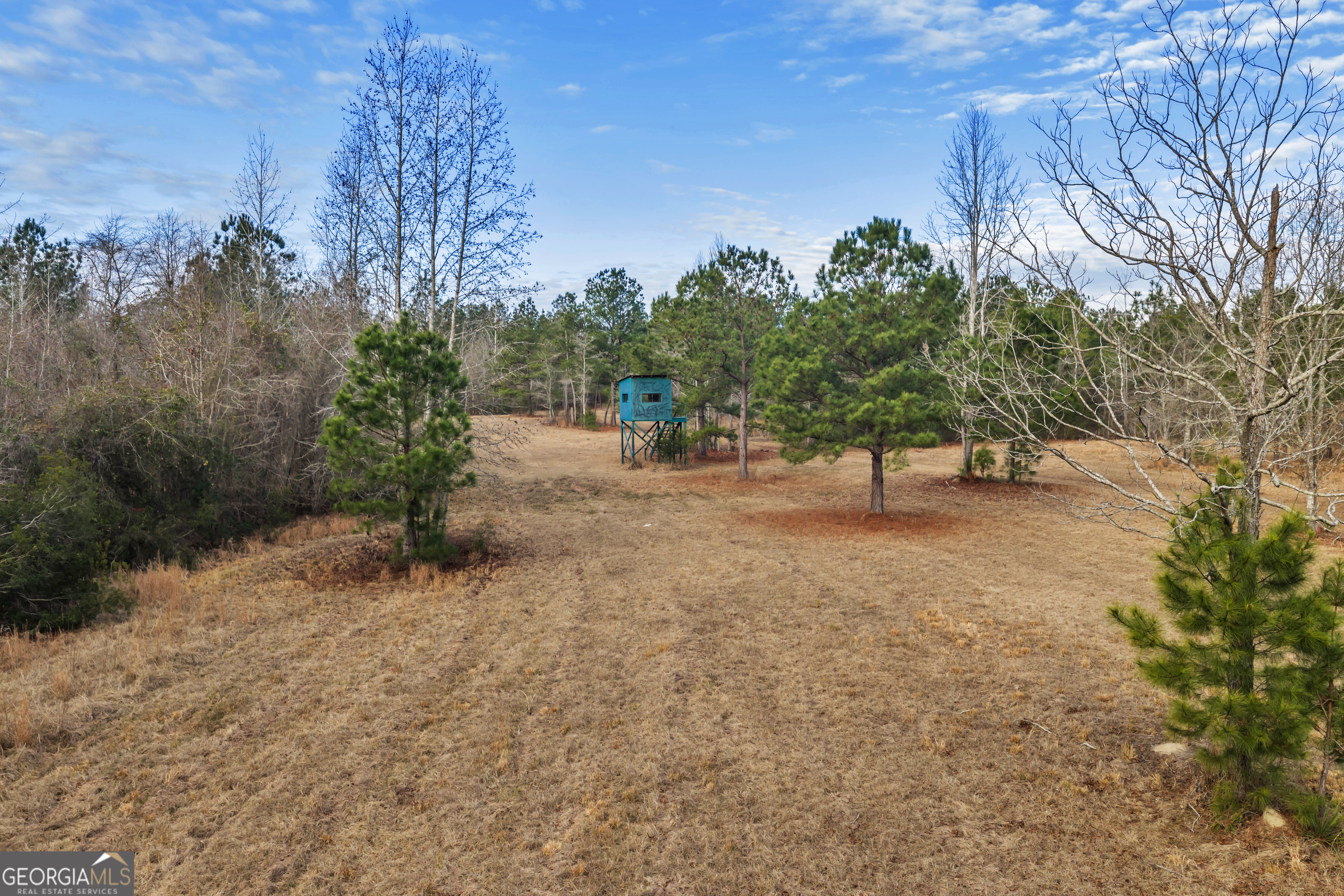 241 Foskey Cemetary Road Adrian GA 31002