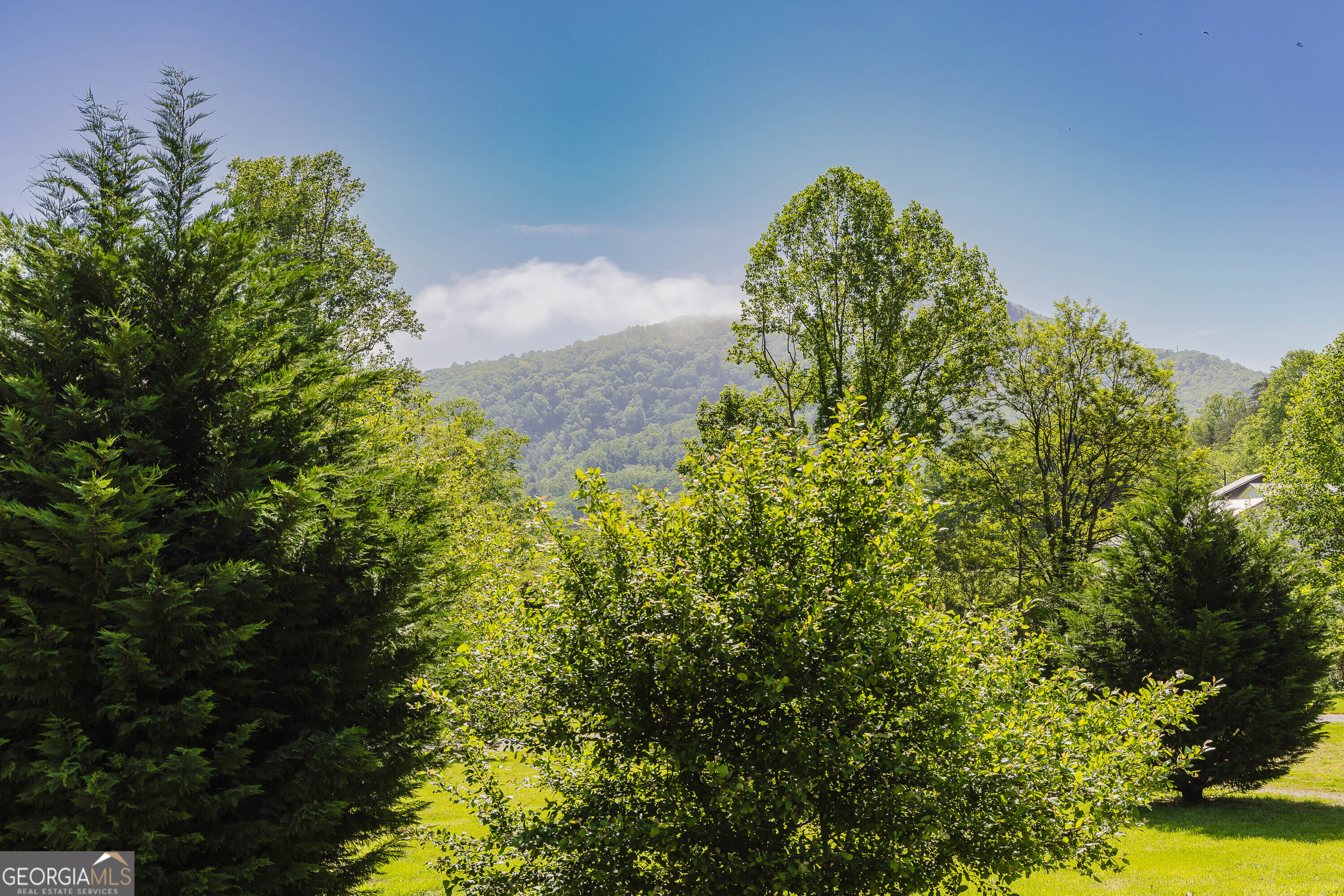 36 Maple Springs Lane Mountain City GA 30562