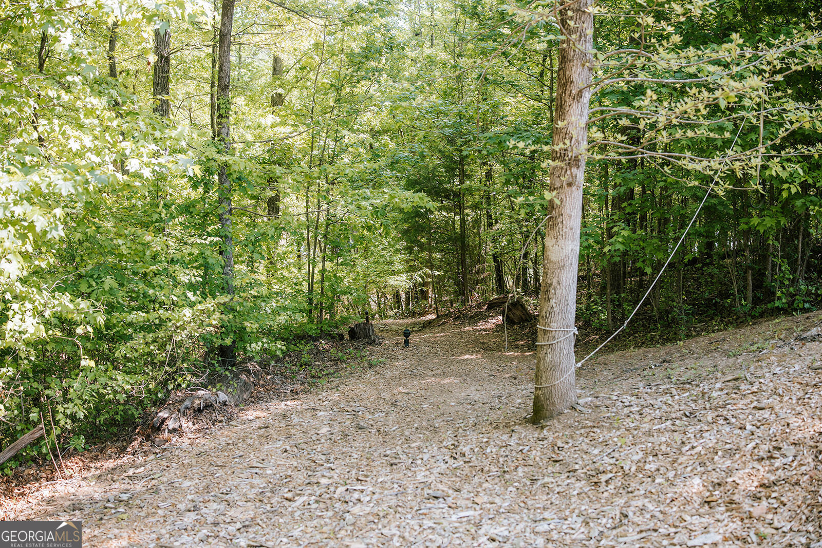 3881 Alexandria Drive Gainesville GA 30506