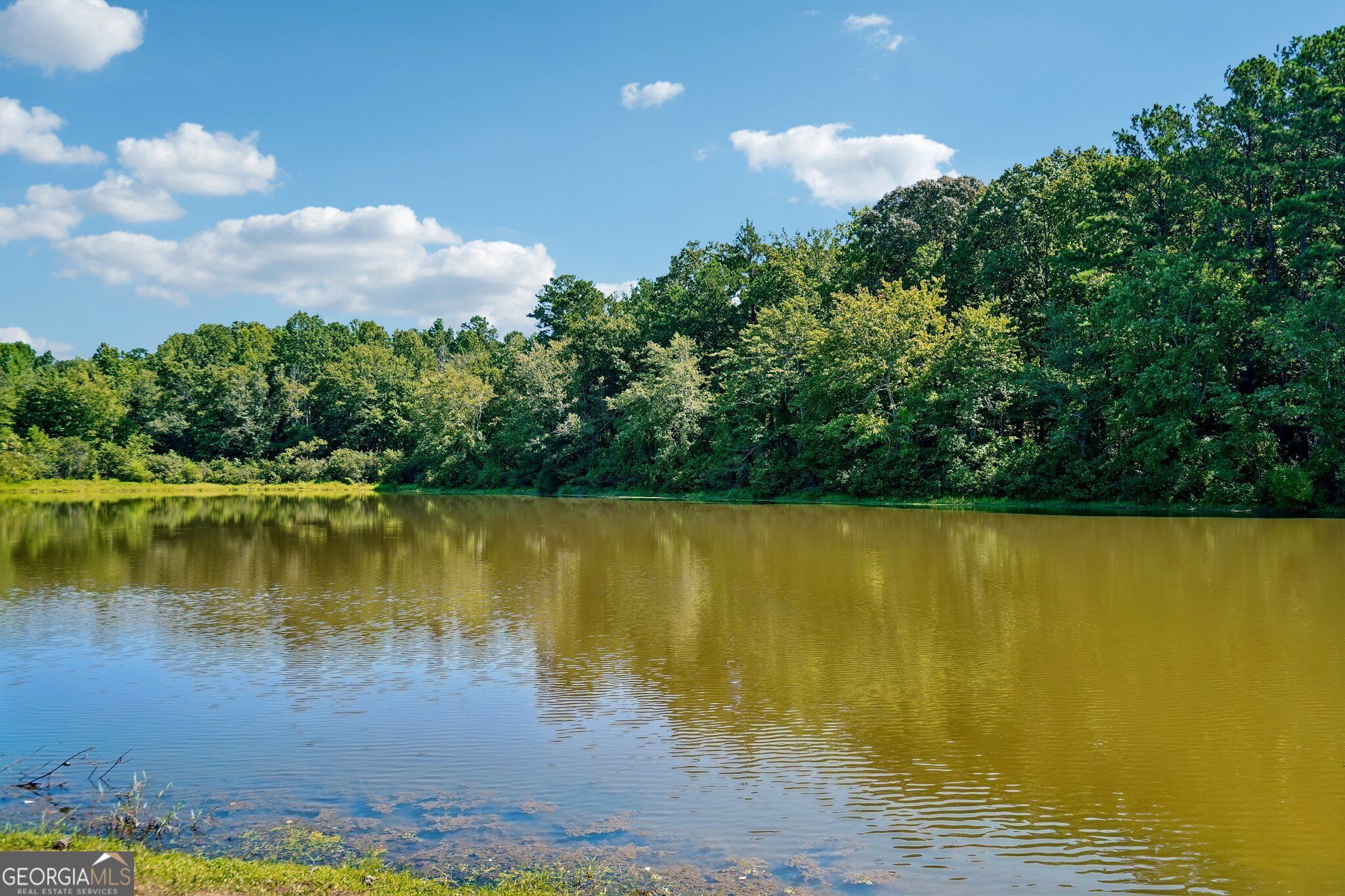 155 Pratt Drive Covington GA 30014