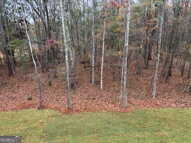 221 Summit View Drive Mcdonough GA 30253