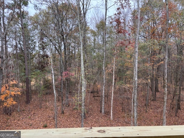 221 Summit View Drive Mcdonough GA 30253