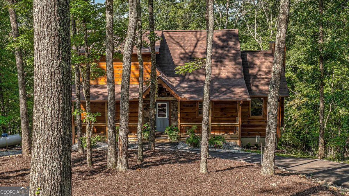 44 Windy Valley Spur Blue Ridge GA 30513