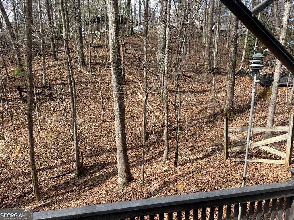 532 10th Street Ellijay GA 30540