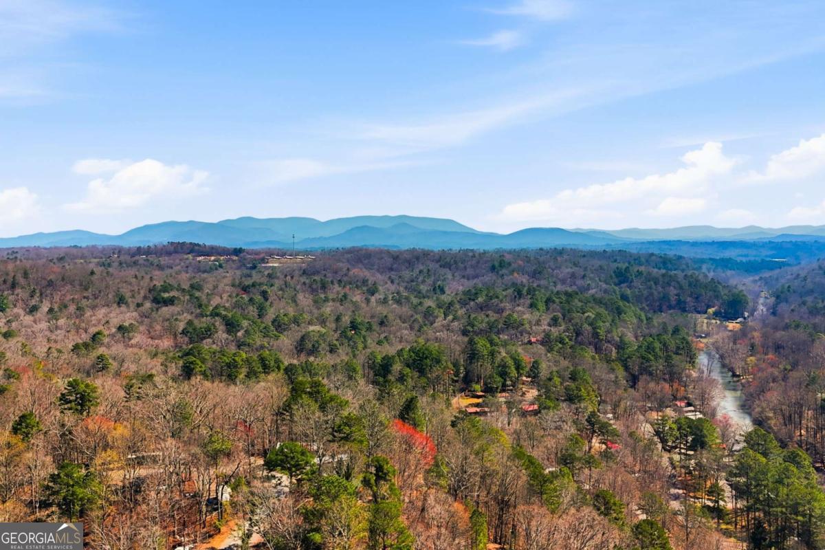 40 9th Street Ellijay GA 30540