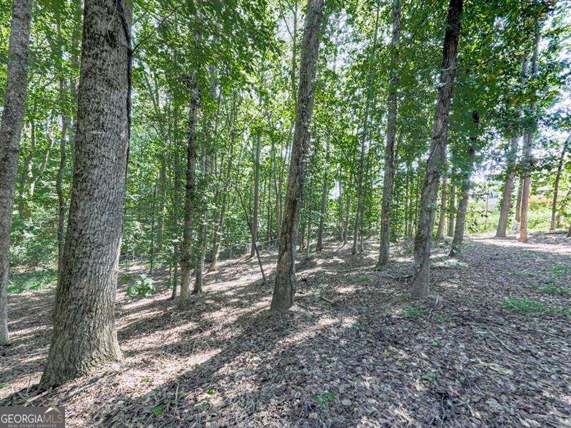5855 Wills Lake Road Cumming GA 30040