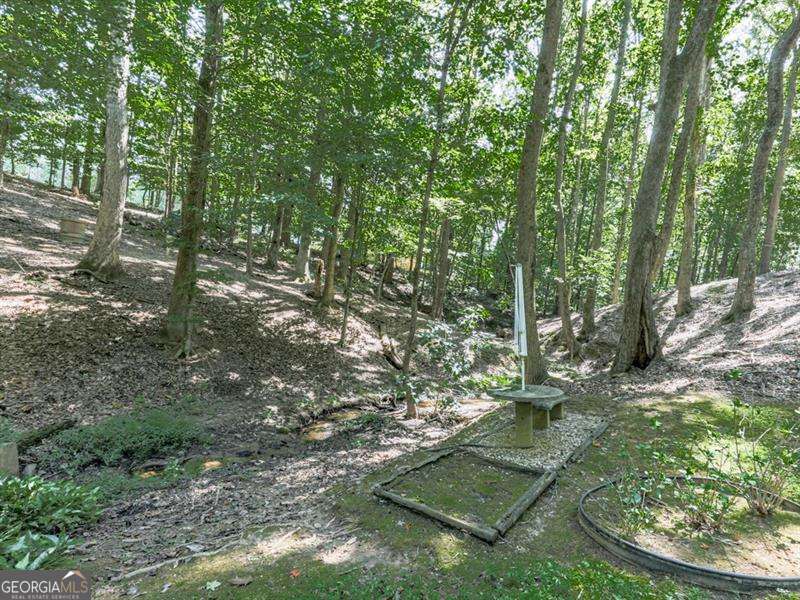 5855 Wills Lake Road Cumming GA 30040
