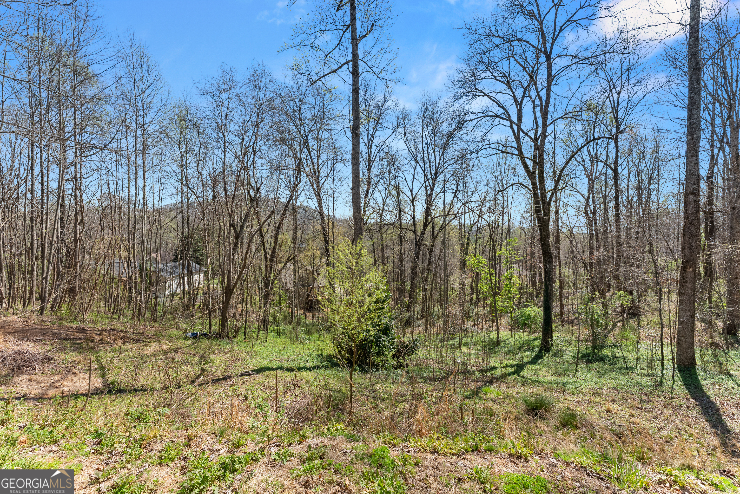 426 Old Clarksville Highway Cleveland GA 30528