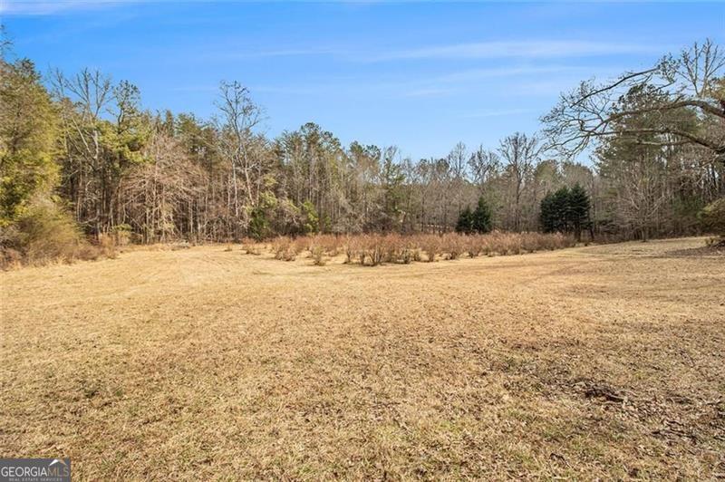 490 Dorsey Road Hampton GA 30228