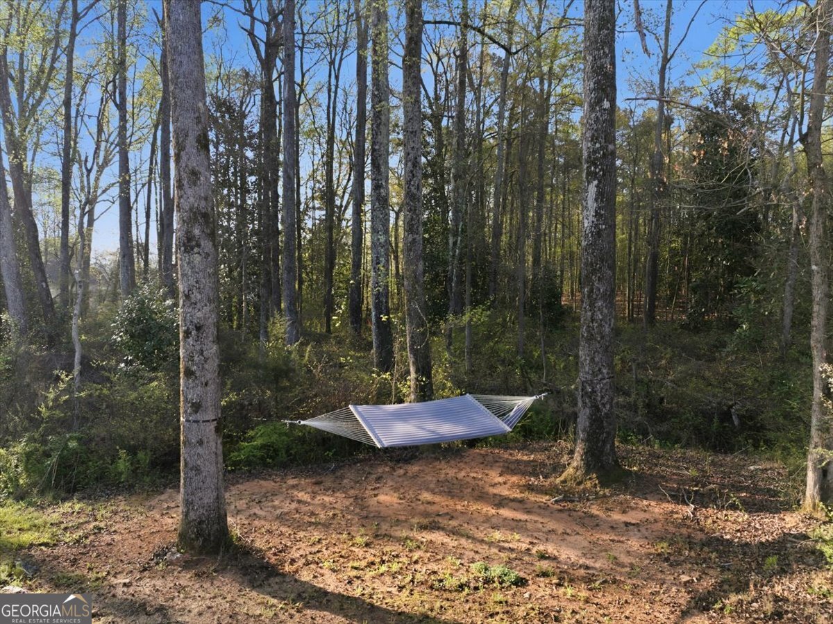 269 Baumgard Way Locust Grove GA 30248
