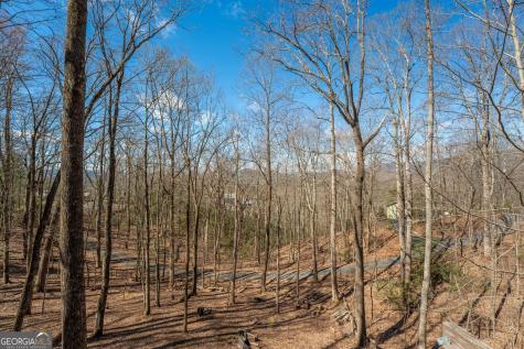 44 Juniper Trail Clayton GA 30525