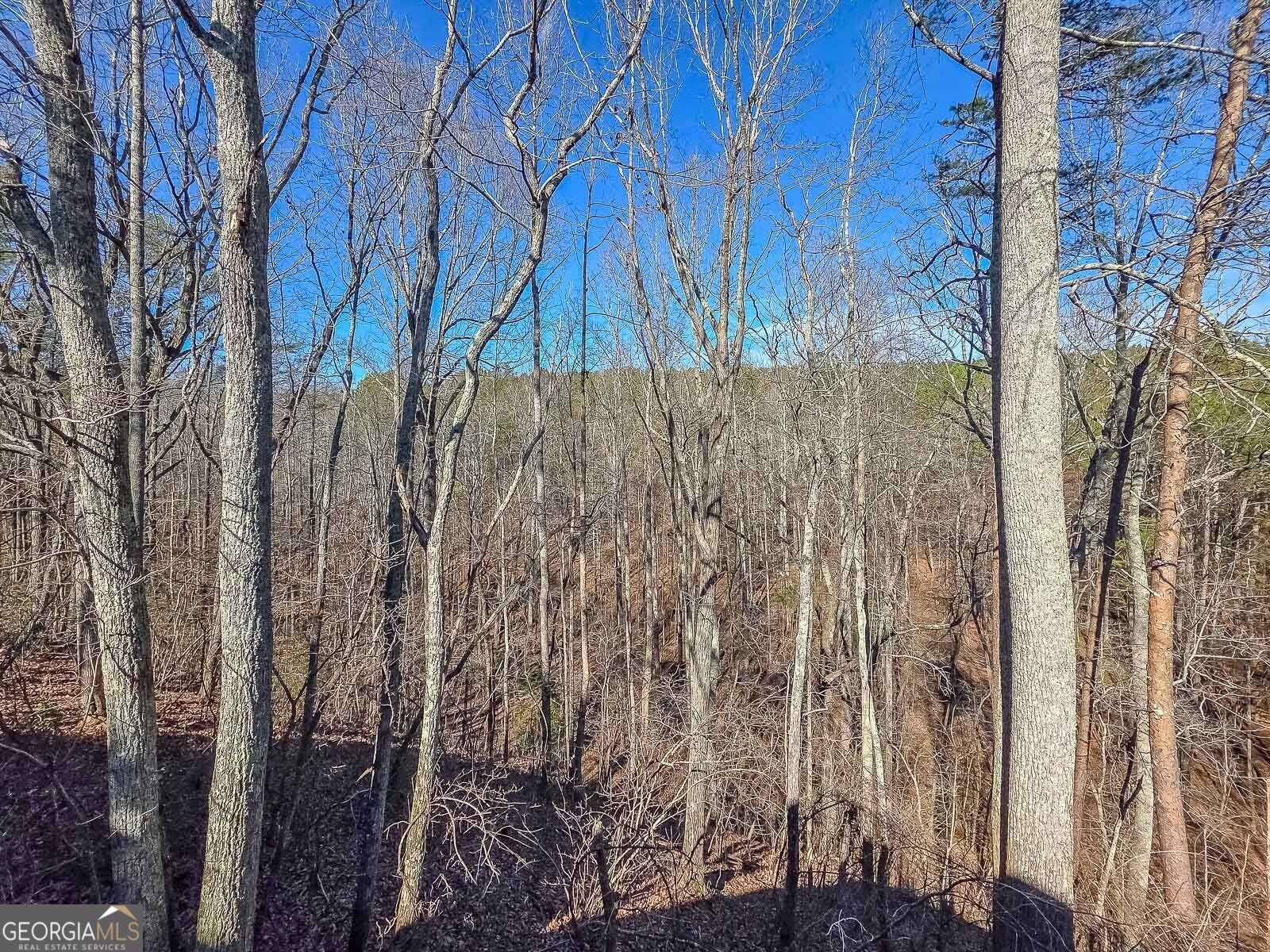 165 Horseshoe Bend Jasper GA 30143
