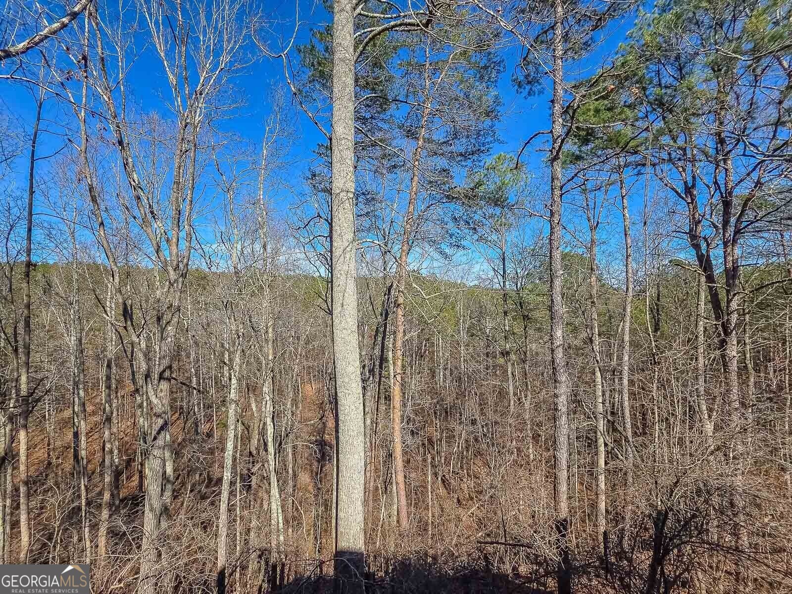 165 Horseshoe Bend Jasper GA 30143