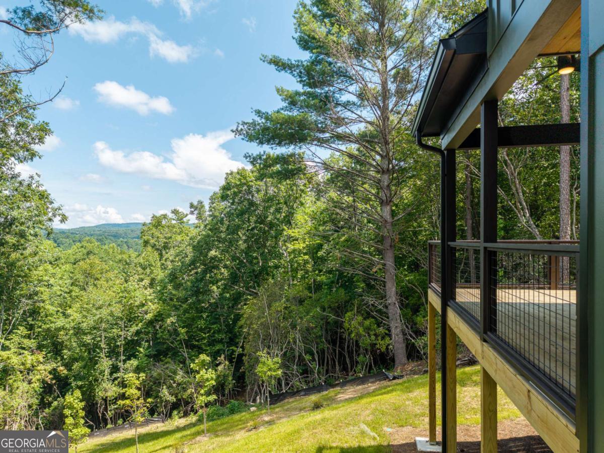 66 Briar Creek Court Morganton GA 30560