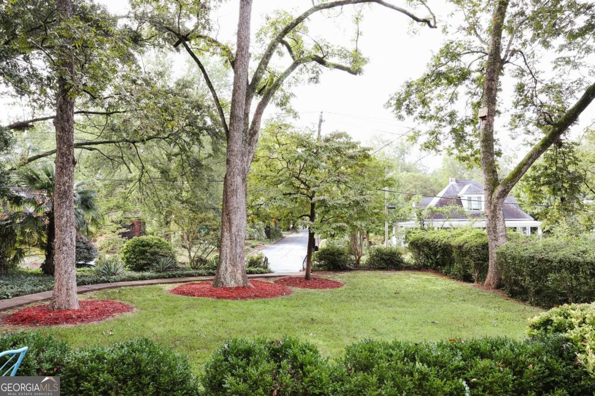 552 Cobb Street Athens GA 30606