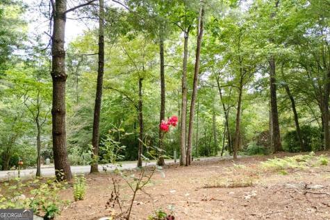 169 Autumn Lane Blairsville GA 30512
