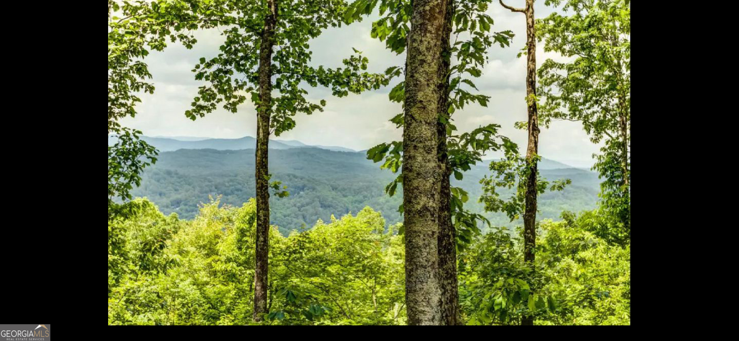 79 Laurel Ridge Way Blue Ridge GA 30513