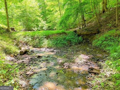 1127 Burch Branch Road Hiawassee GA 30546