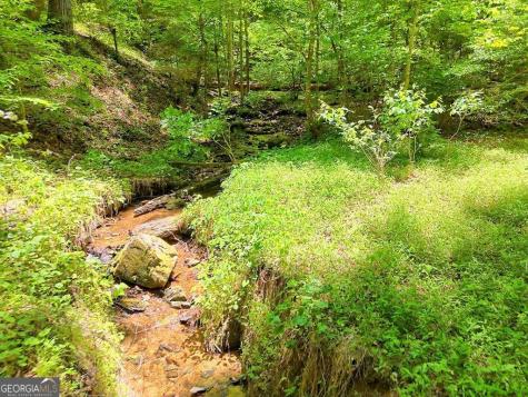 1127 Burch Branch Road Hiawassee GA 30546